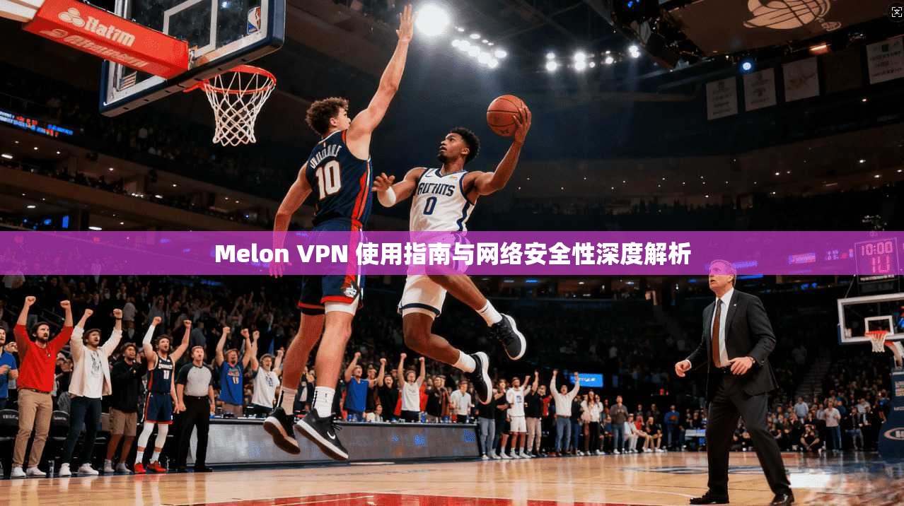 Melon VPN 使用指南与网络安全性深度解析