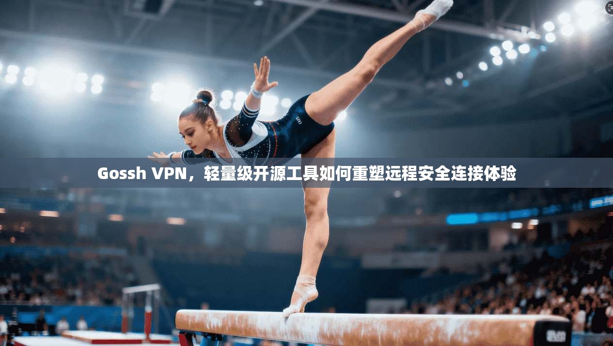 Gossh VPN，轻量级开源工具如何重塑远程安全连接体验