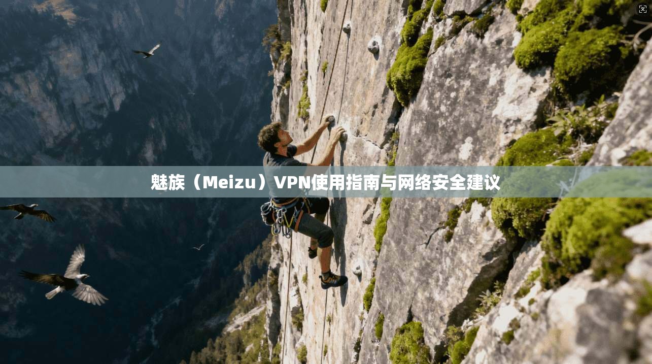 魅族（Meizu）VPN使用指南与网络安全建议