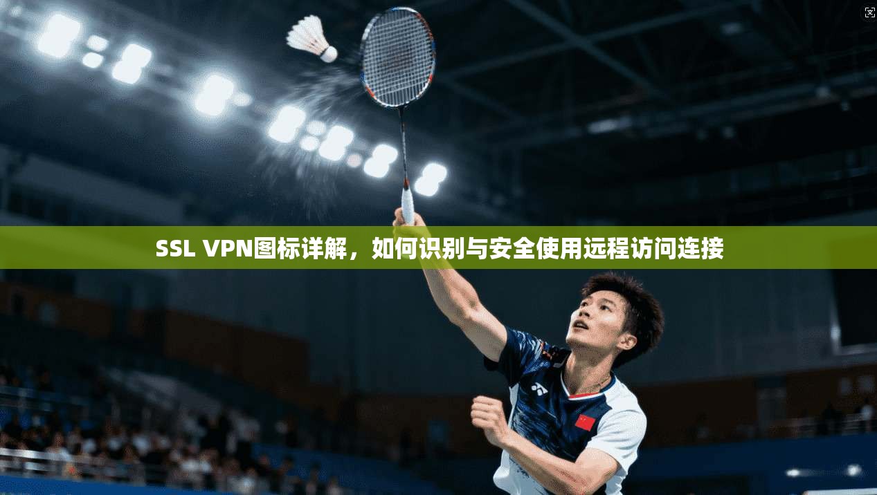 SSL VPN图标详解，如何识别与安全使用远程访问连接