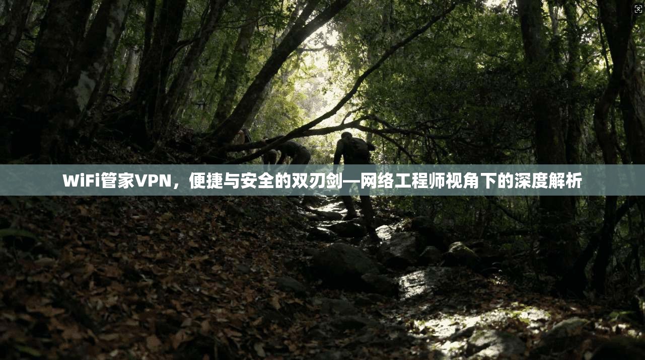 WiFi管家VPN，便捷与安全的双刃剑—网络工程师视角下的深度解析