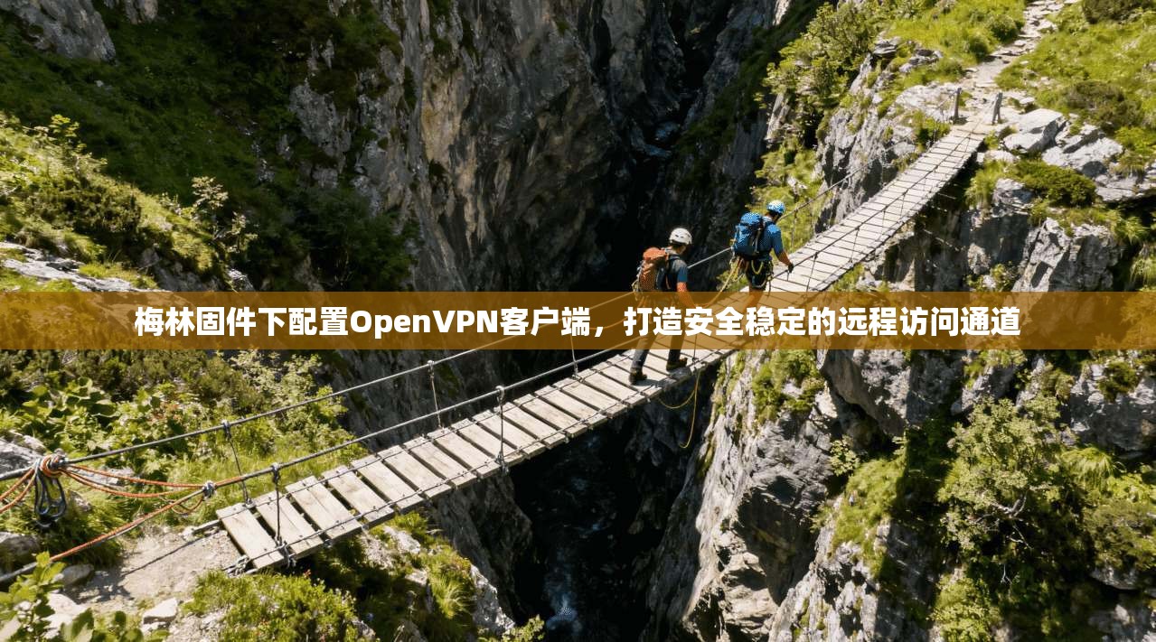 梅林固件下配置OpenVPN客户端，打造安全稳定的远程访问通道