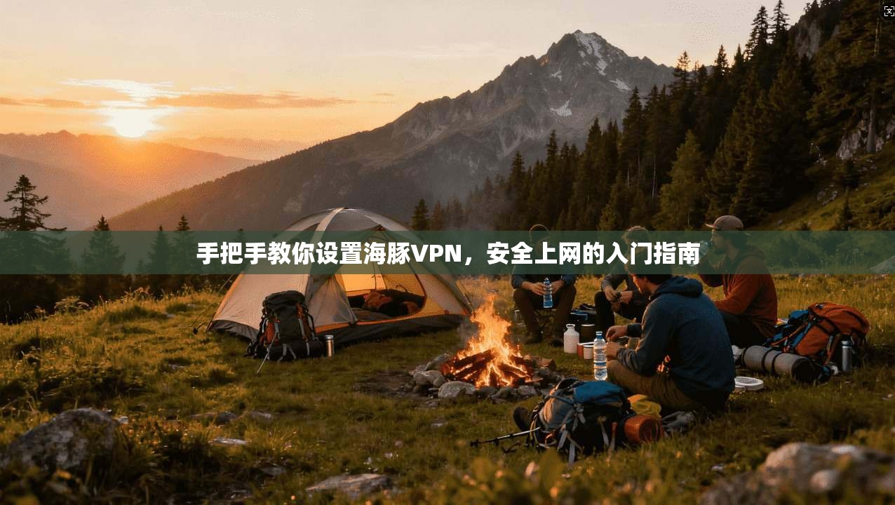 手把手教你设置海豚VPN，安全上网的入门指南