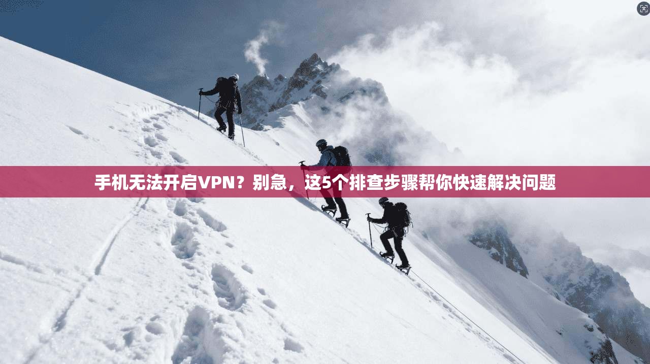 手机无法开启VPN？别急，这5个排查步骤帮你快速解决问题