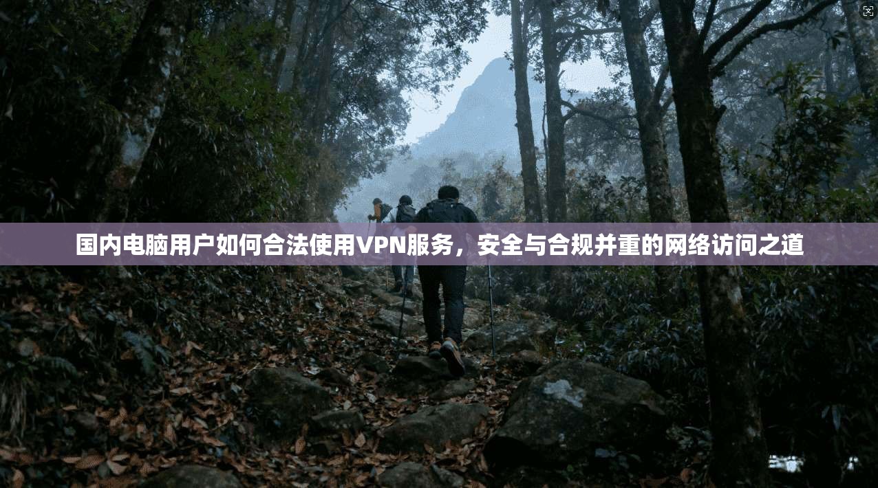 国内电脑用户如何合法使用VPN服务，安全与合规并重的网络访问之道