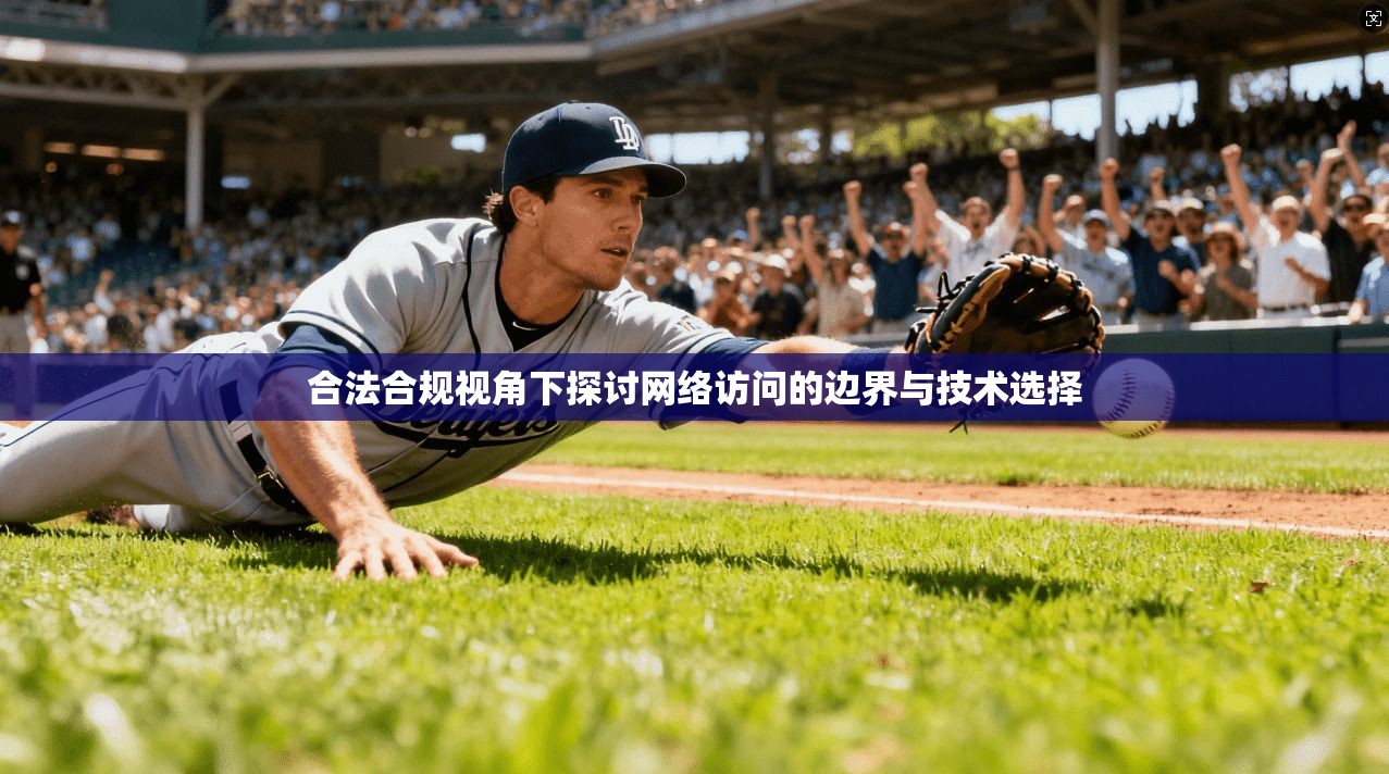 合法合规视角下探讨网络访问的边界与技术选择