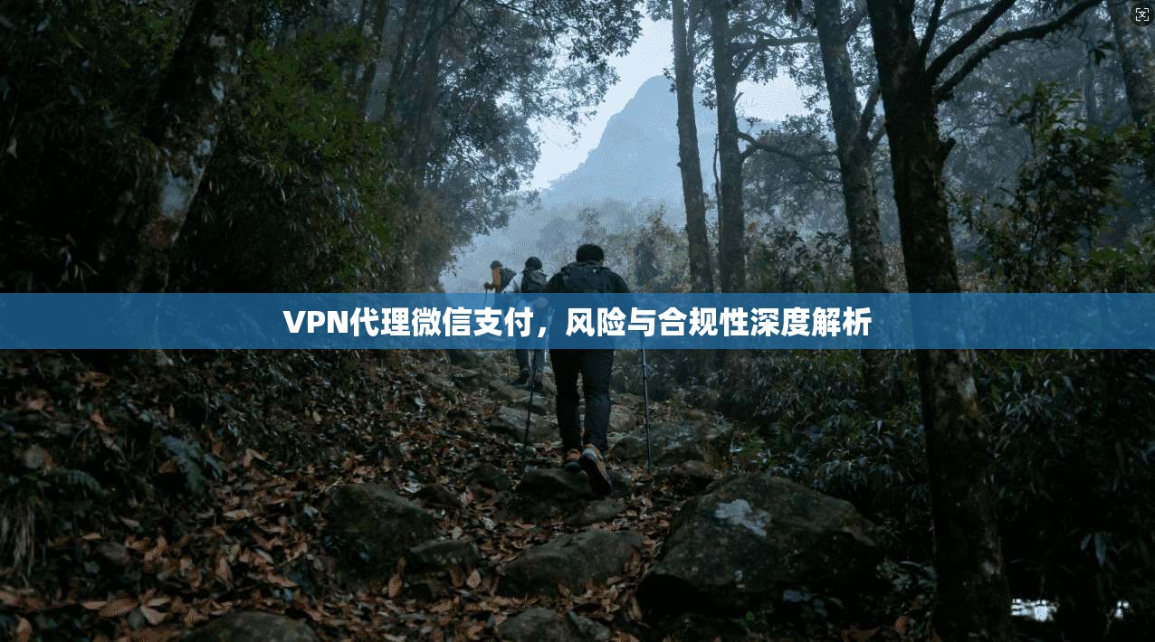 VPN代理微信支付，风险与合规性深度解析