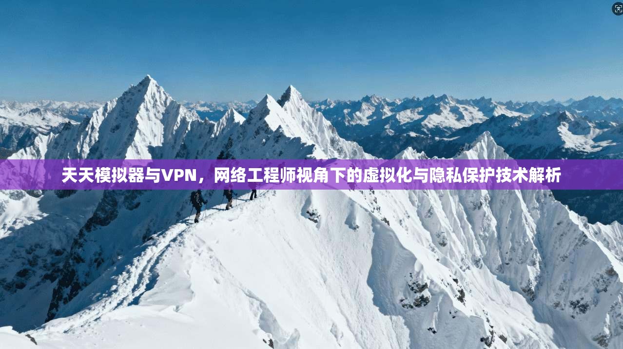 天天模拟器与VPN，网络工程师视角下的虚拟化与隐私保护技术解析