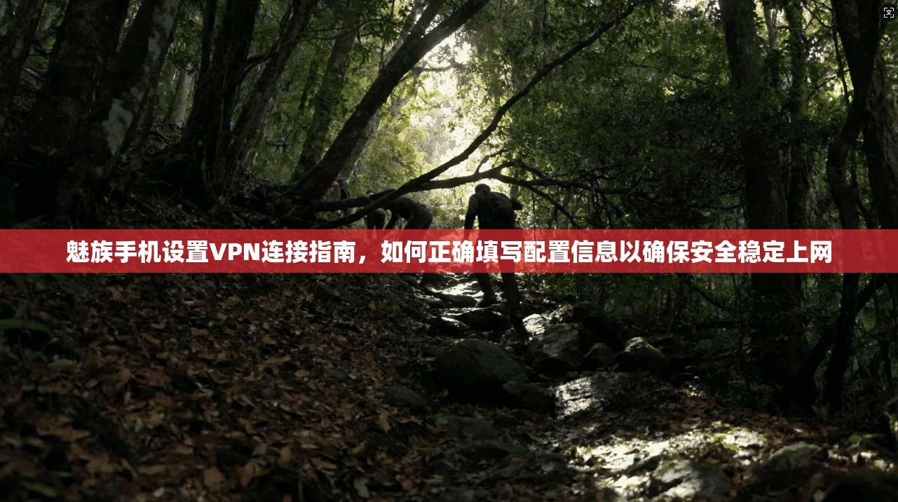 魅族手机设置VPN连接指南，如何正确填写配置信息以确保安全稳定上网