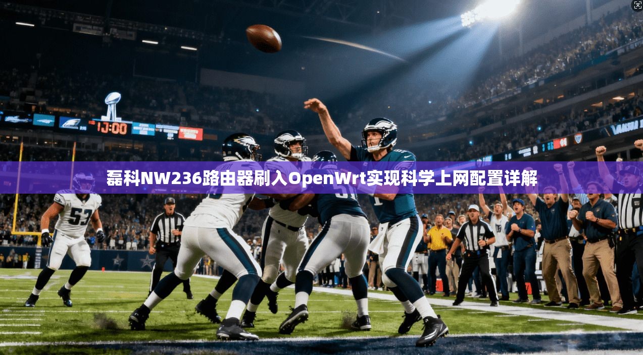 磊科NW236路由器刷入OpenWrt实现科学上网配置详解