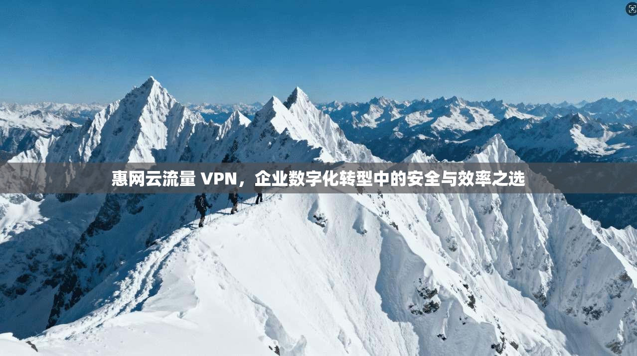惠网云流量 VPN，企业数字化转型中的安全与效率之选