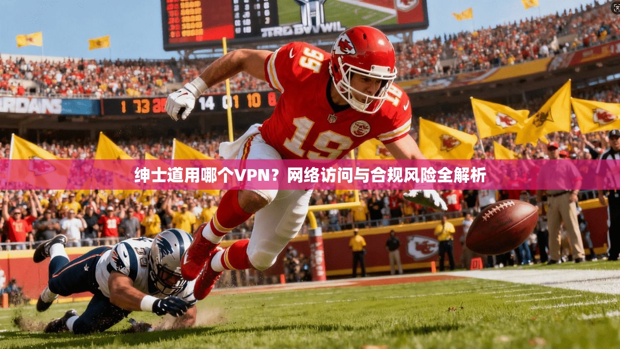 绅士道用哪个VPN？网络访问与合规风险全解析