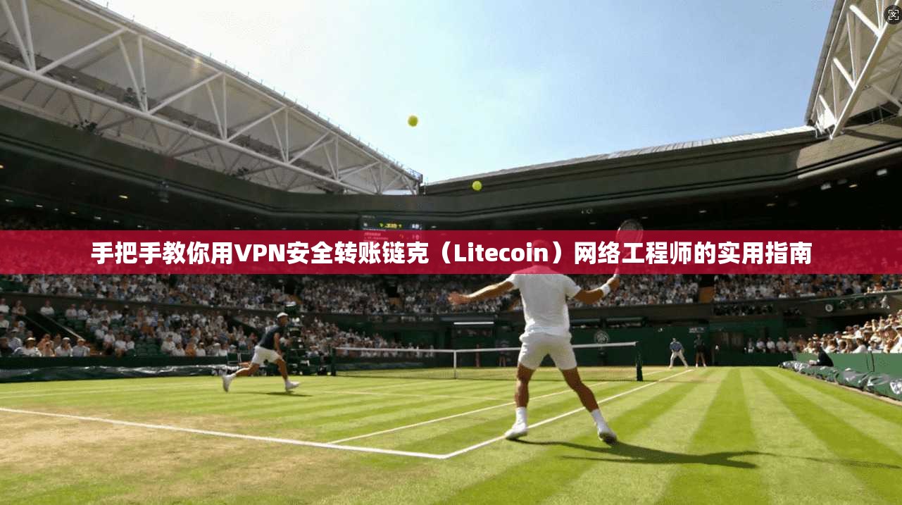 手把手教你用VPN安全转账链克（Litecoin）网络工程师的实用指南