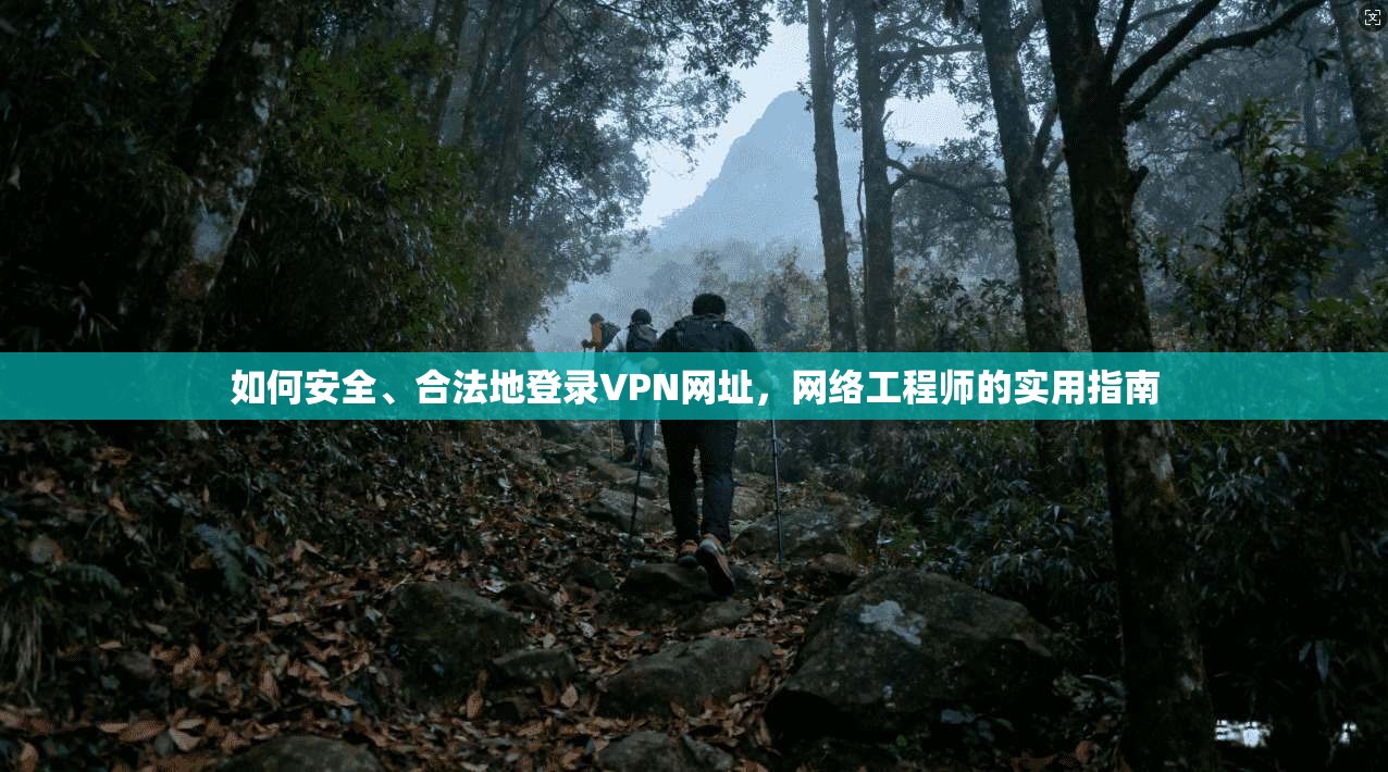 如何安全、合法地登录VPN网址，网络工程师的实用指南