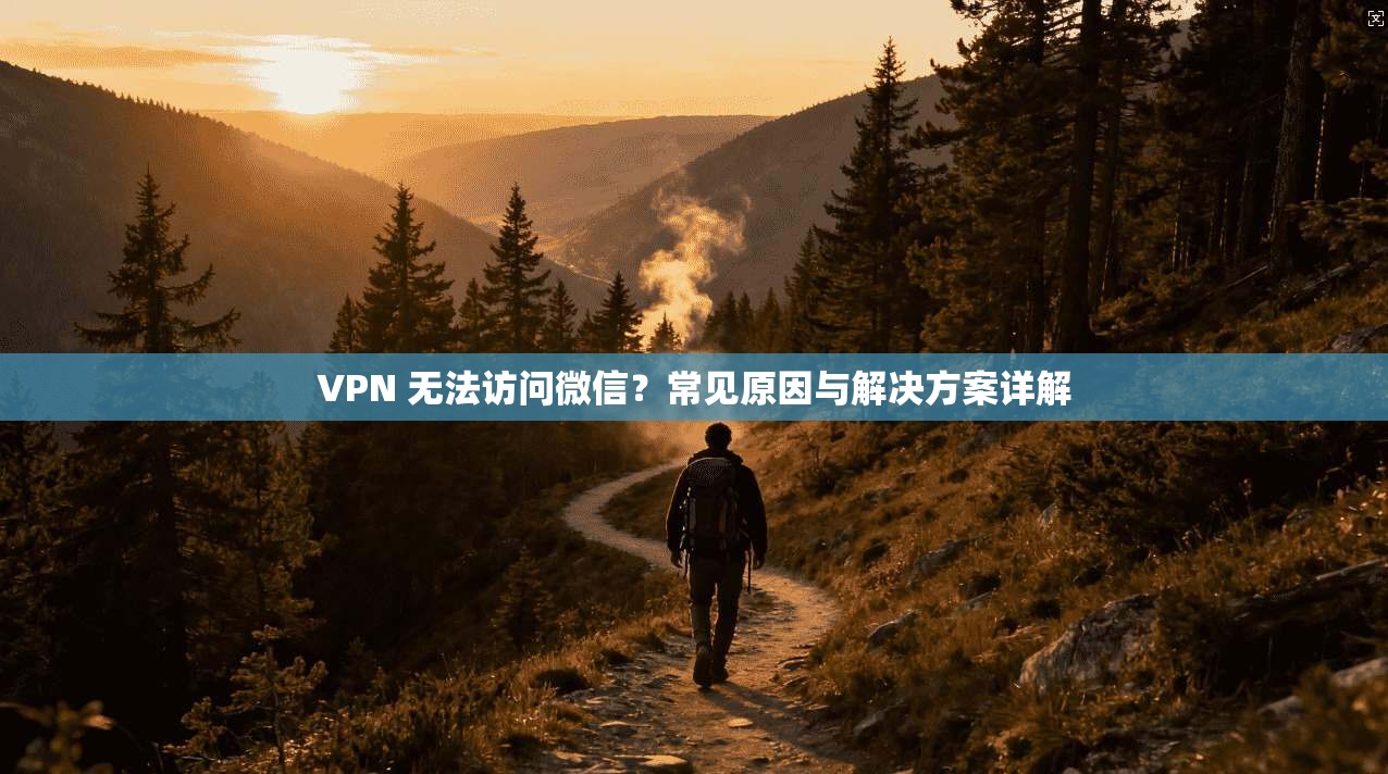 VPN 无法访问微信？常见原因与解决方案详解