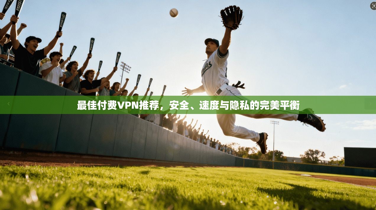 最佳付费VPN推荐，安全、速度与隐私的完美平衡