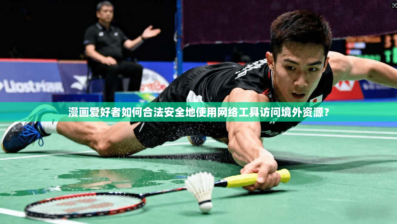 漫画爱好者如何合法安全地使用网络工具访问境外资源？