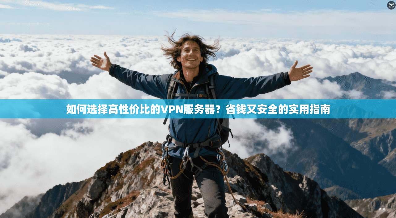 如何选择高性价比的VPN服务器？省钱又安全的实用指南