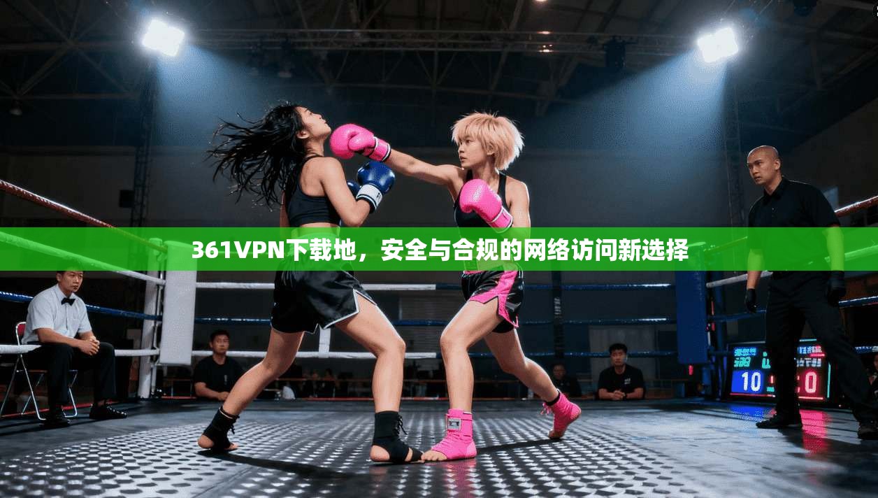 361VPN下载地，安全与合规的网络访问新选择