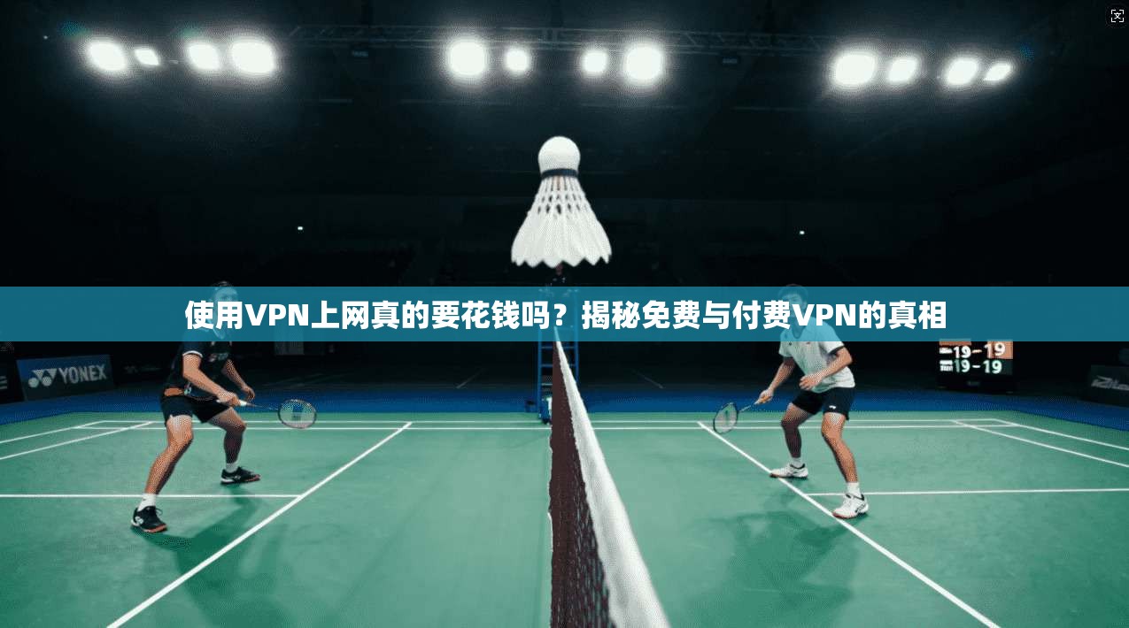 使用VPN上网真的要花钱吗？揭秘免费与付费VPN的真相