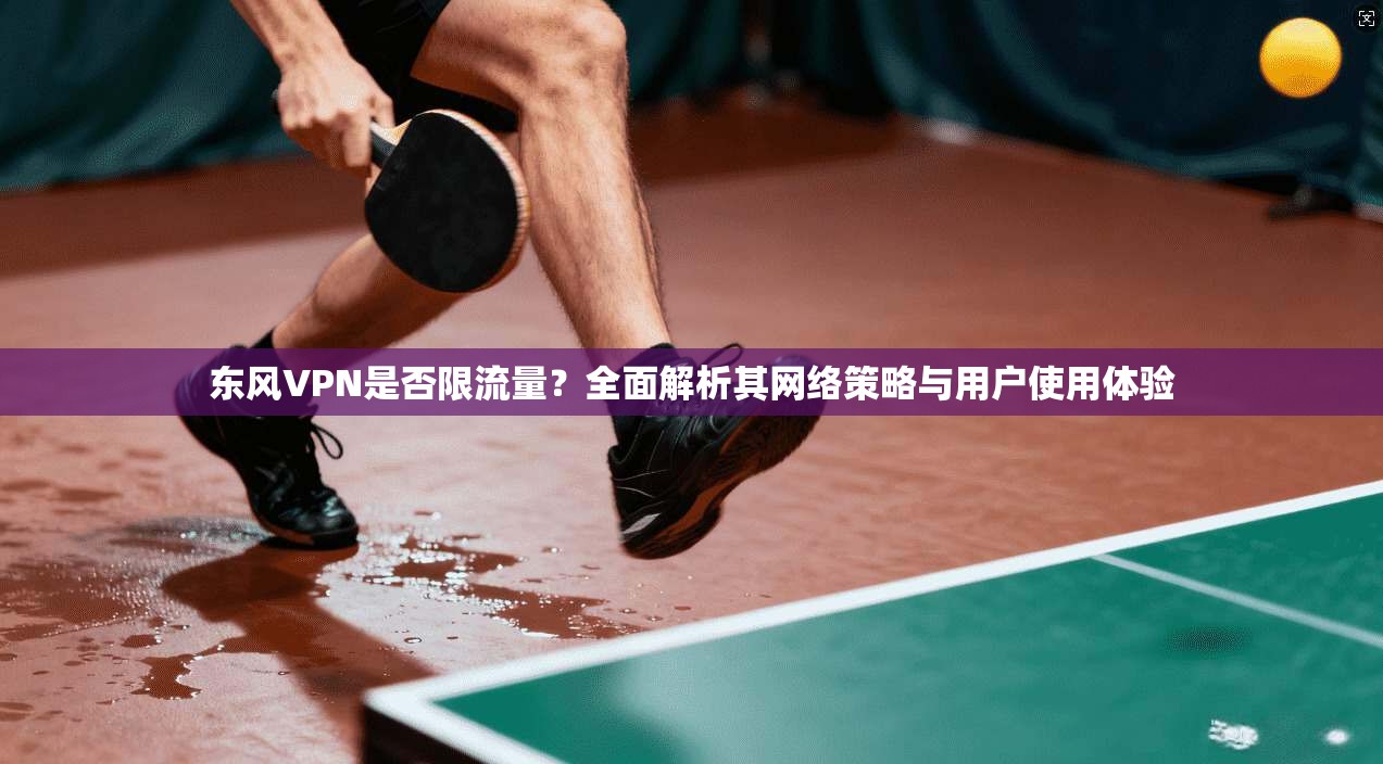 东风VPN是否限流量？全面解析其网络策略与用户使用体验