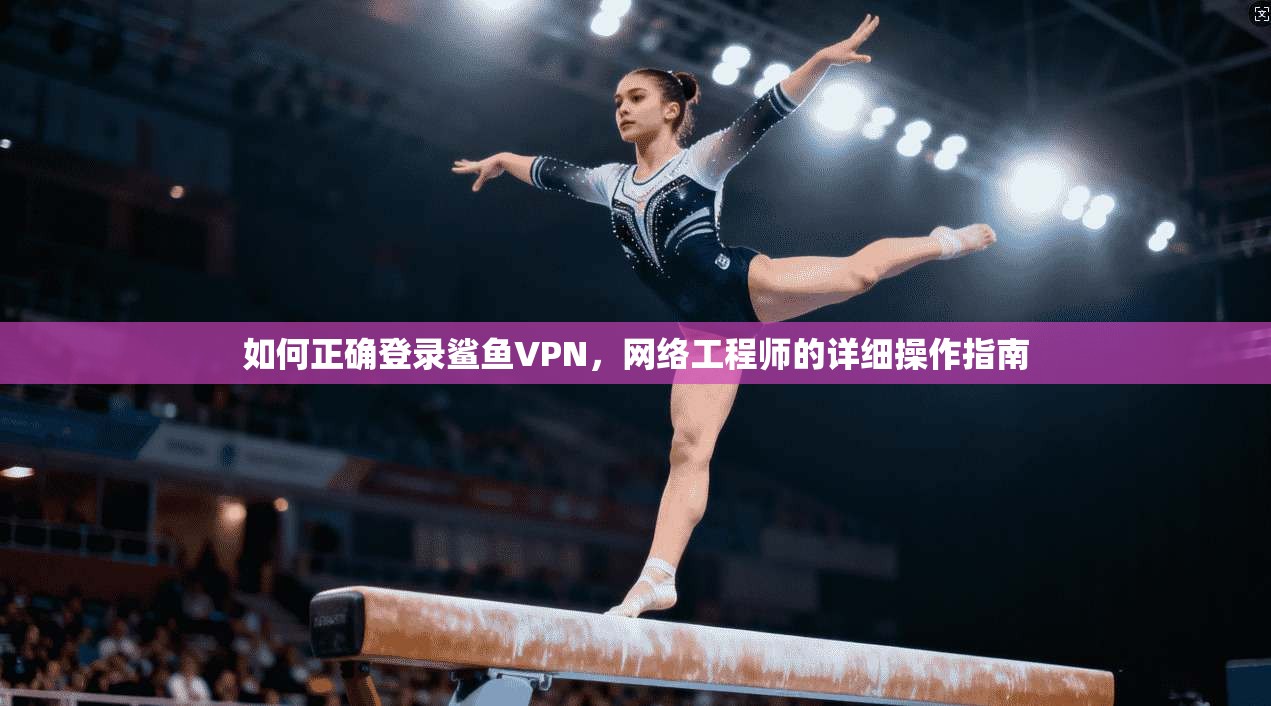 如何正确登录鲨鱼VPN，网络工程师的详细操作指南