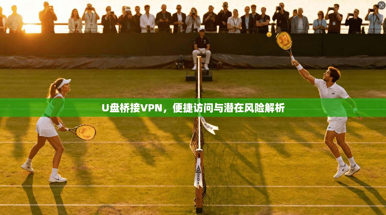 U盘桥接VPN，便捷访问与潜在风险解析
