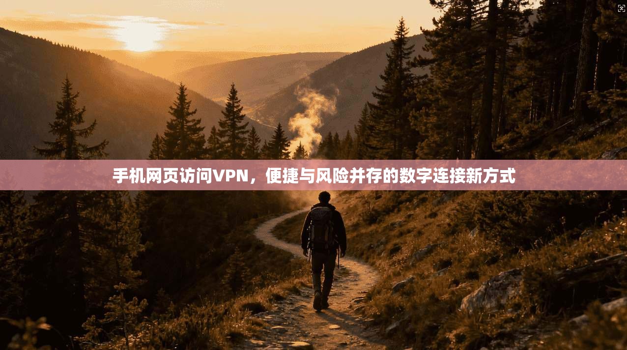 手机网页访问VPN，便捷与风险并存的数字连接新方式