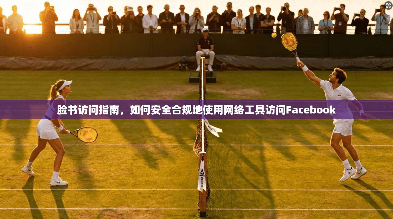 脸书访问指南，如何安全合规地使用网络工具访问Facebook