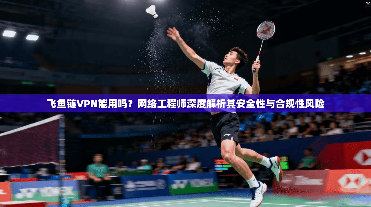 飞鱼链VPN能用吗？网络工程师深度解析其安全性与合规性风险