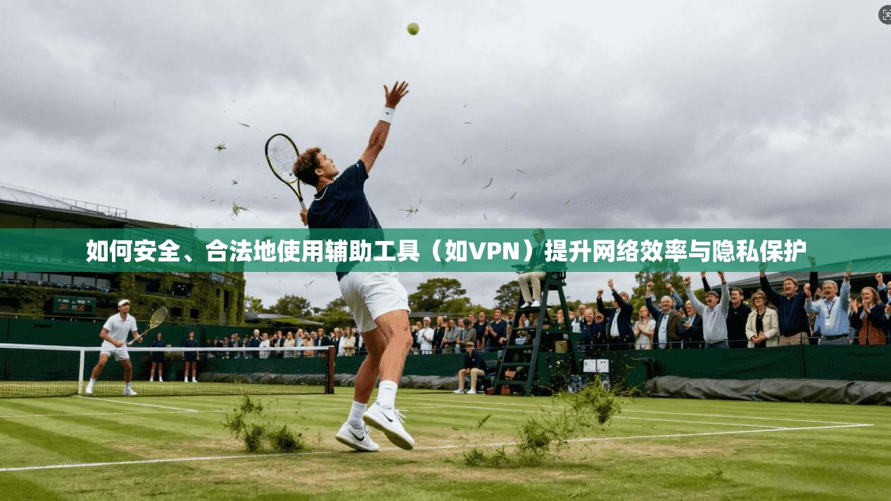 如何安全、合法地使用辅助工具（如VPN）提升网络效率与隐私保护