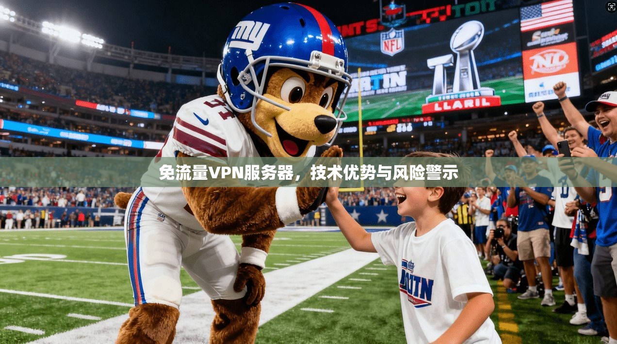 免流量VPN服务器，技术优势与风险警示