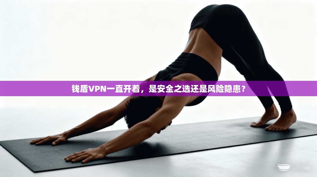 钱盾VPN一直开着，是安全之选还是风险隐患？