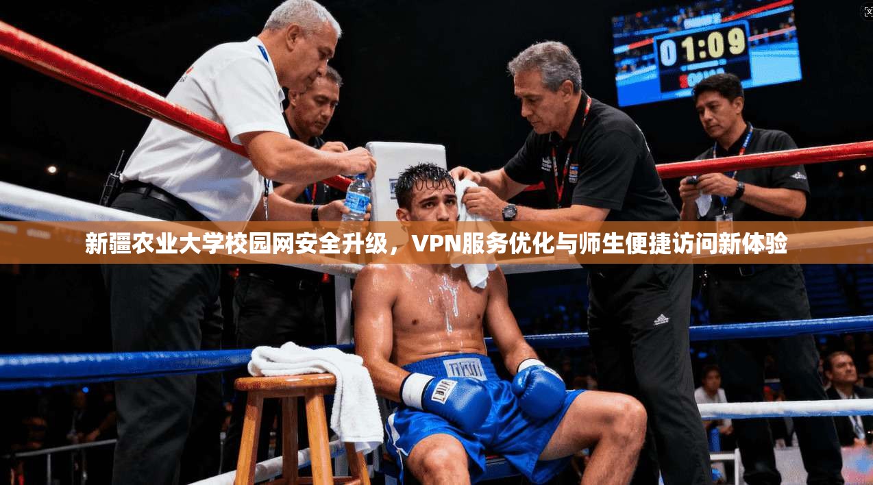 新疆农业大学校园网安全升级，VPN服务优化与师生便捷访问新体验