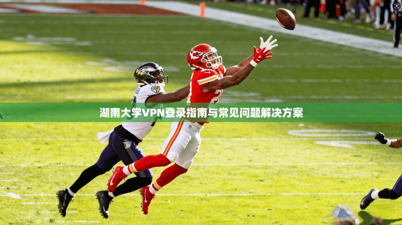 湖南大学VPN登录指南与常见问题解决方案
