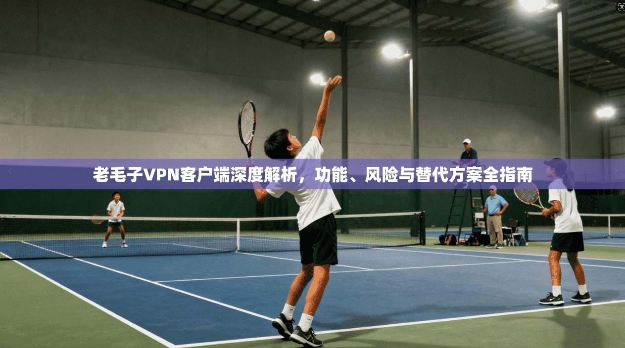 老毛子VPN客户端深度解析，功能、风险与替代方案全指南