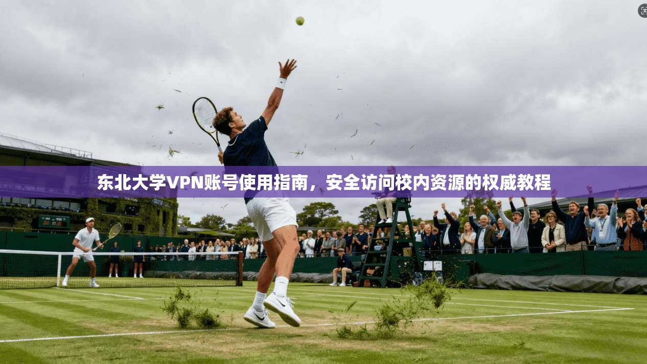 东北大学VPN账号使用指南，安全访问校内资源的权威教程