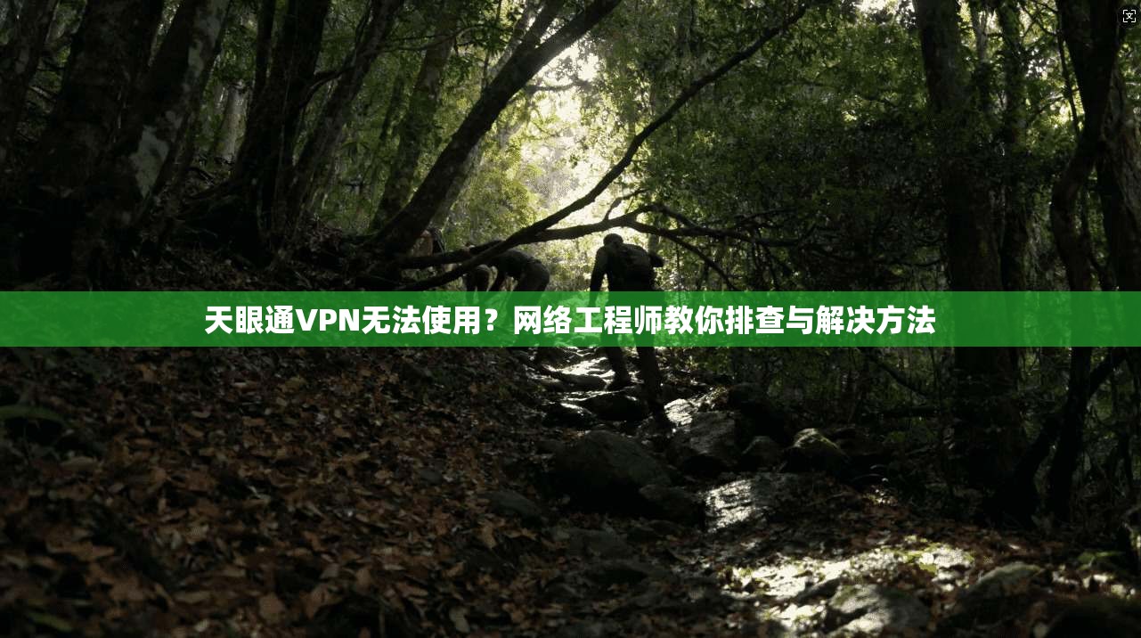 天眼通VPN无法使用？网络工程师教你排查与解决方法