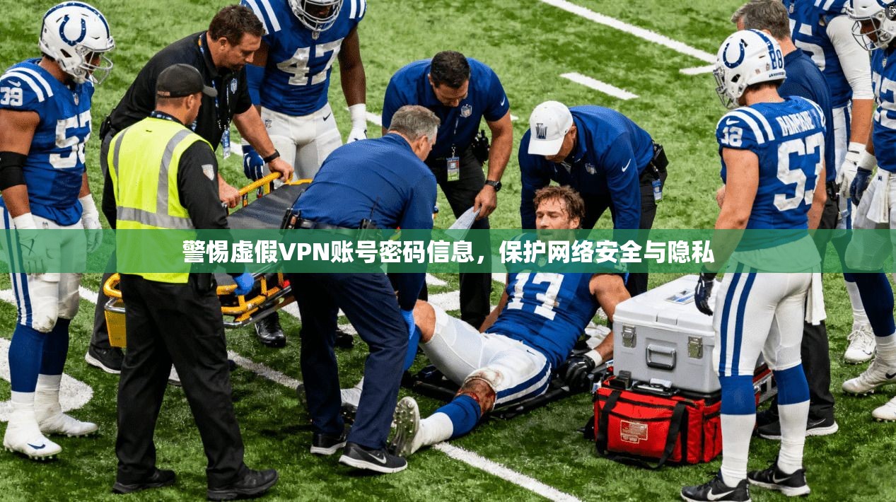 警惕虚假VPN账号密码信息，保护网络安全与隐私