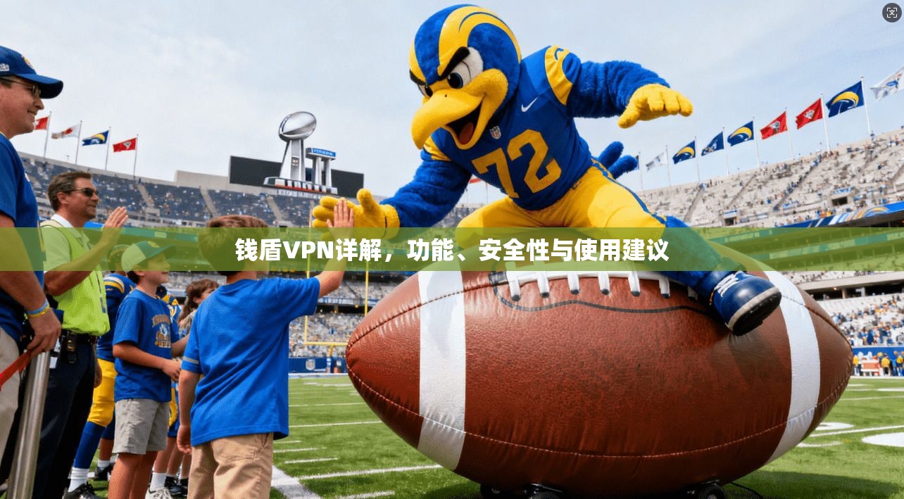 钱盾VPN详解，功能、安全性与使用建议