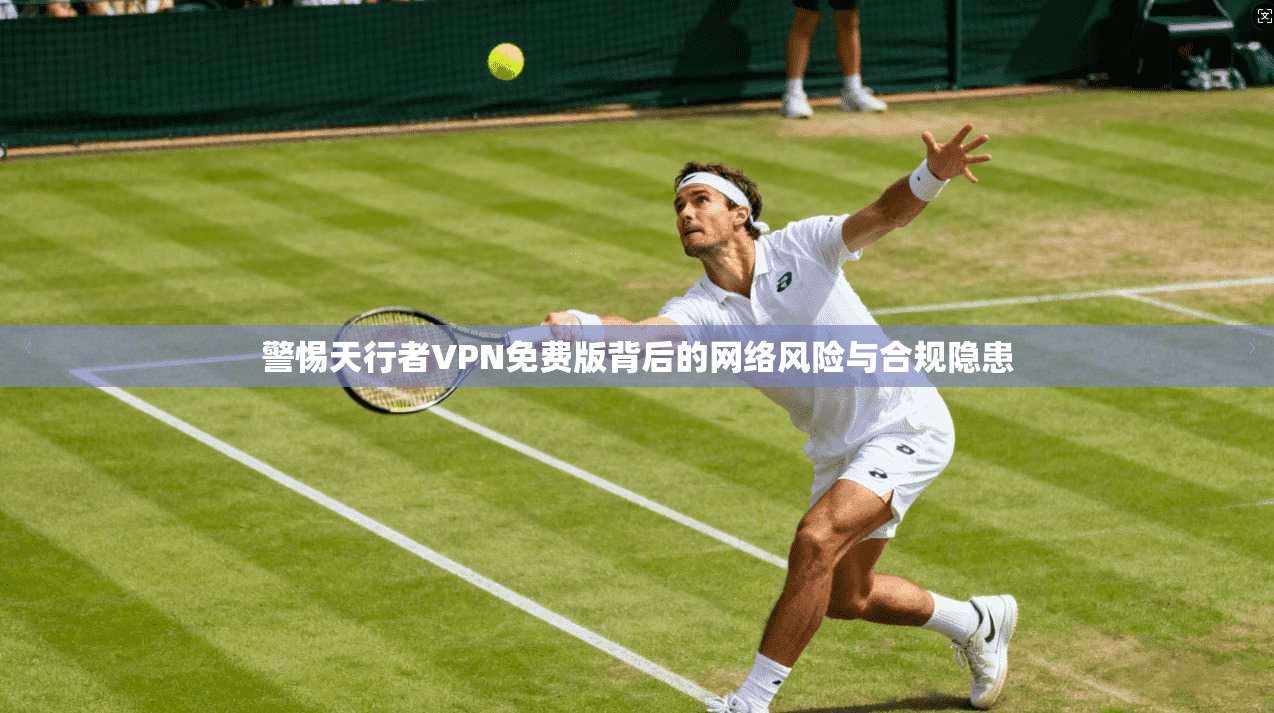 警惕天行者VPN免费版背后的网络风险与合规隐患