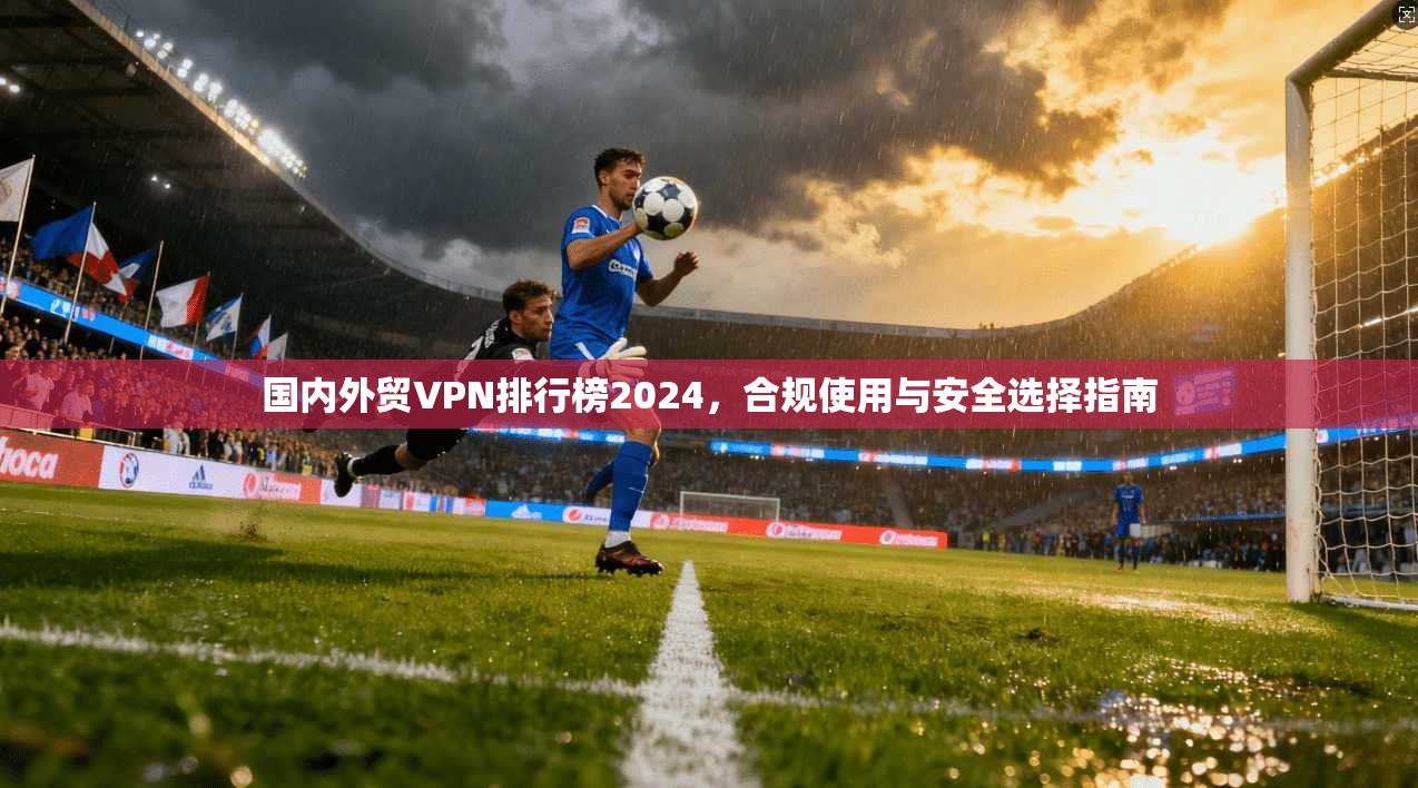国内外贸VPN排行榜2024，合规使用与安全选择指南