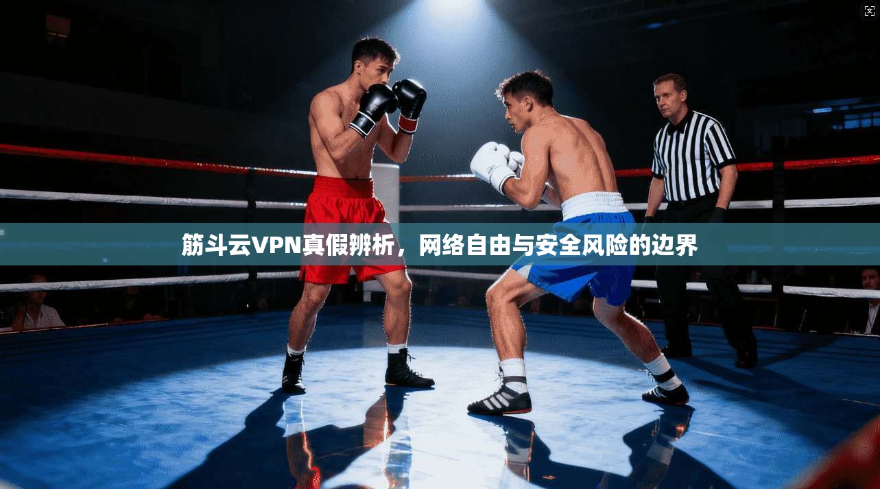 筋斗云VPN真假辨析，网络自由与安全风险的边界