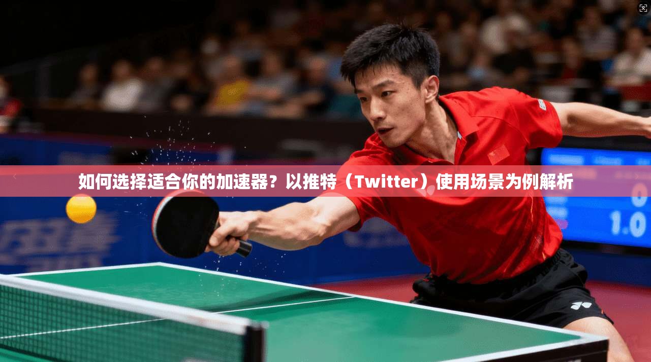 如何选择适合你的加速器？以推特（Twitter）使用场景为例解析