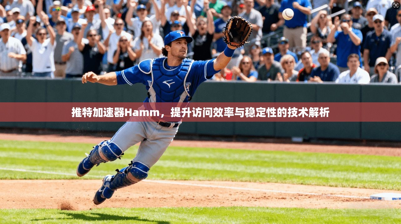 推特加速器Hamm，提升访问效率与稳定性的技术解析