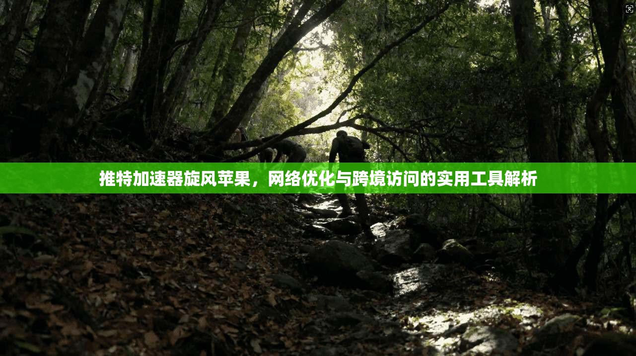 推特加速器旋风苹果，网络优化与跨境访问的实用工具解析