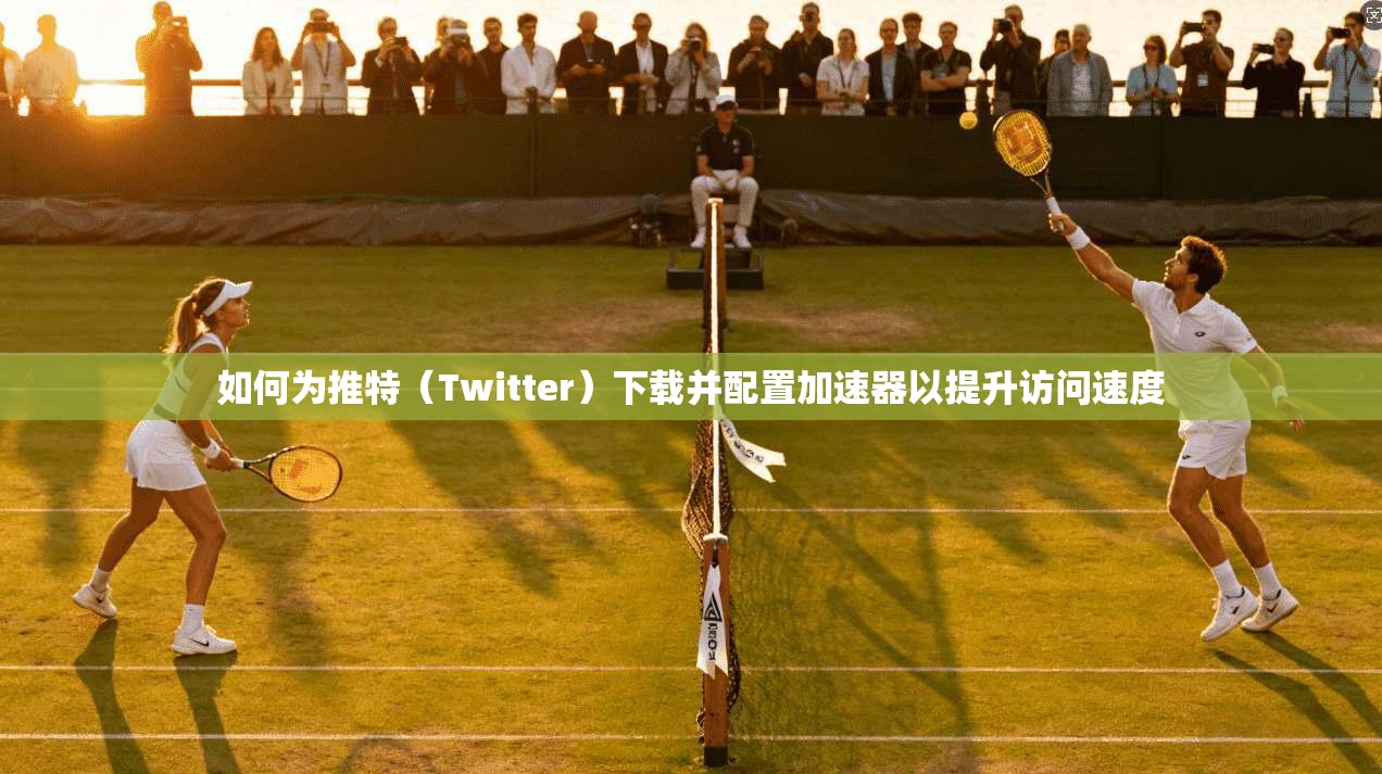 如何为推特（Twitter）下载并配置加速器以提升访问速度