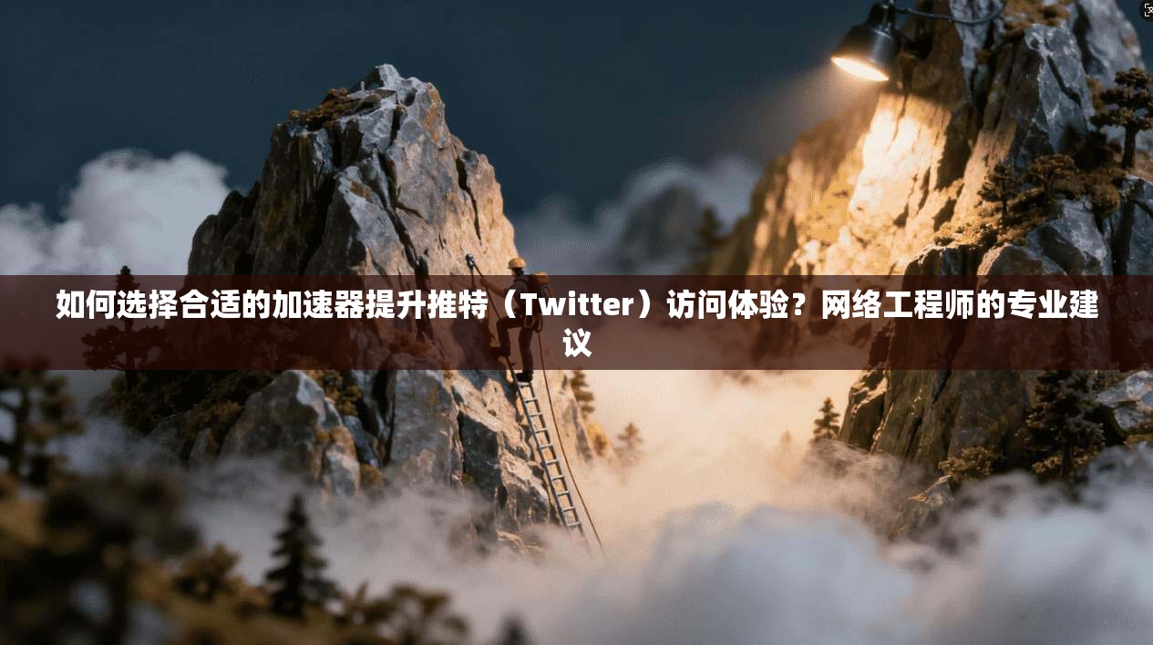 如何选择合适的加速器提升推特（Twitter）访问体验？网络工程师的专业建议