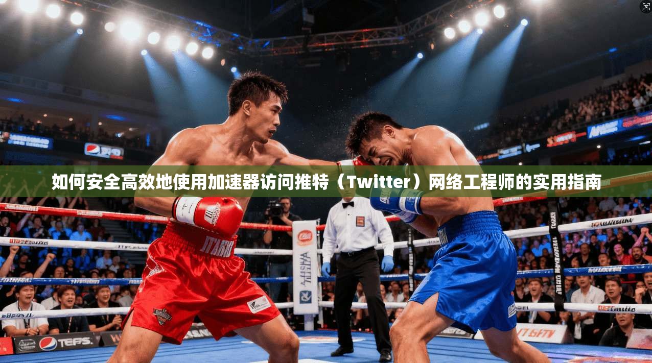 如何安全高效地使用加速器访问推特（Twitter）网络工程师的实用指南