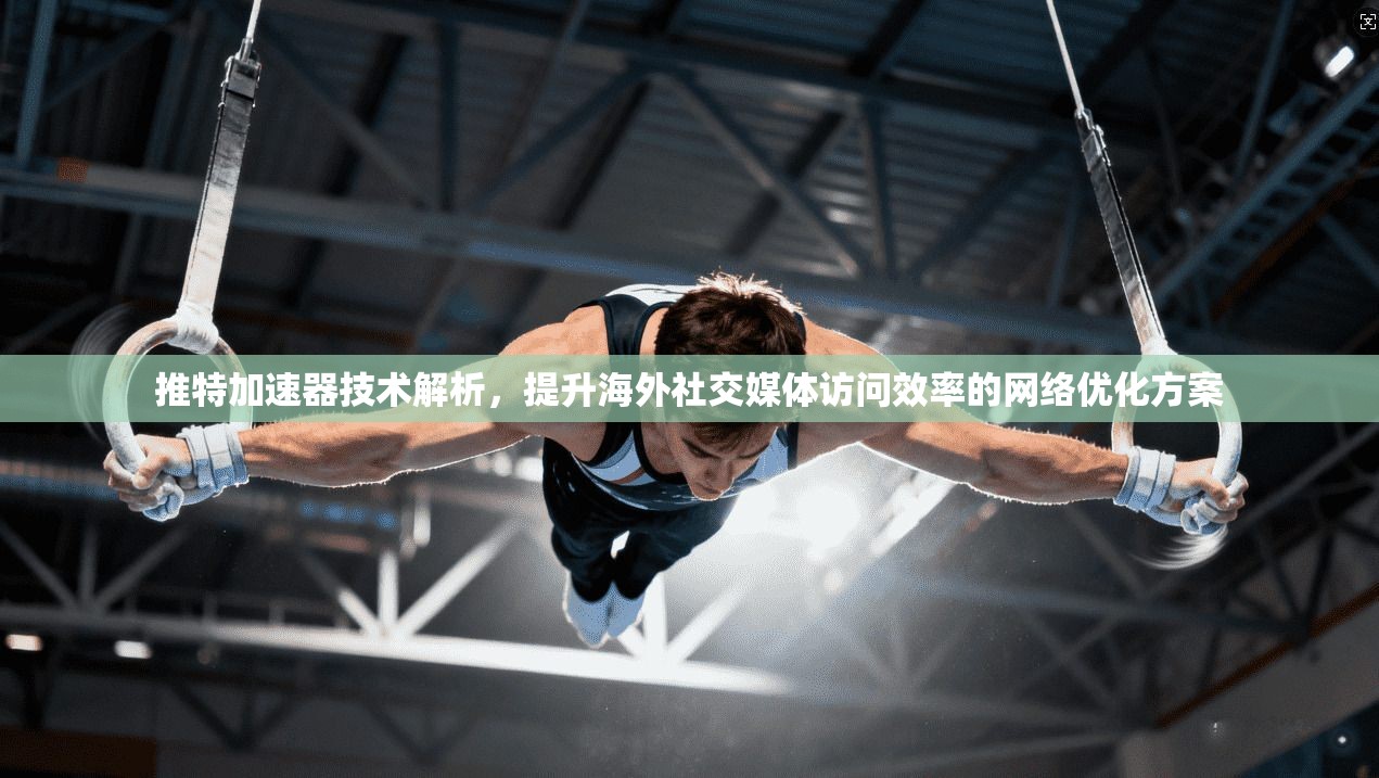 推特加速器技术解析，提升海外社交媒体访问效率的网络优化方案